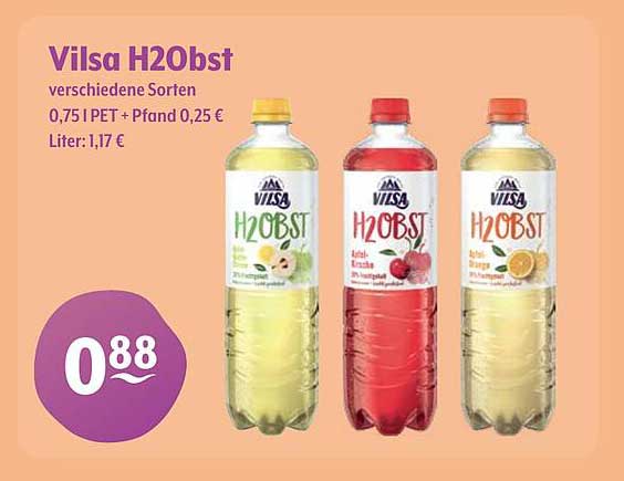 Vilsa H2Obst verschiedene Sorten 0,75 l PET + Pfand 0,25 €