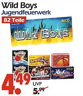 Wild Boys Jugendfeuerwerk 82 Teile