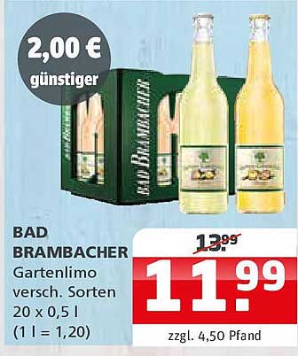 BAD BRAMMBACHER Gartenlimo 20 x 0,5 l
