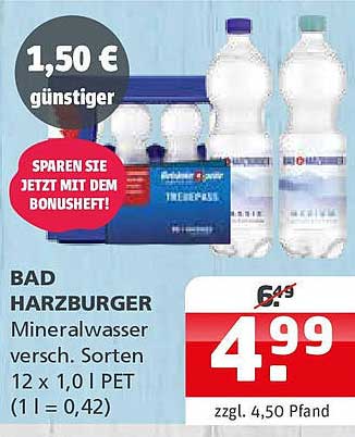 BAD HARZBURGER Mineralwasser verschiedene Sorten 12 x 1,0 l PET
