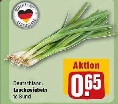 Deutschland: Lauchzwiebeln je Bund