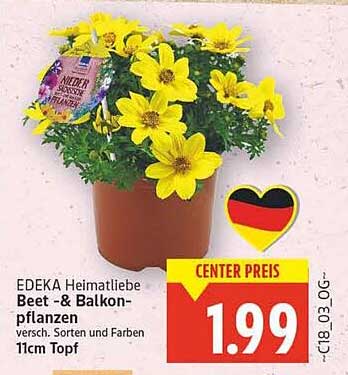 EDEKA HeimatlLiebe Beet- & Balkonpflanzen, 11cm Topf