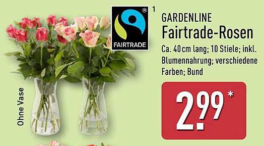 GARDENLINE Fairtrade-Rosen