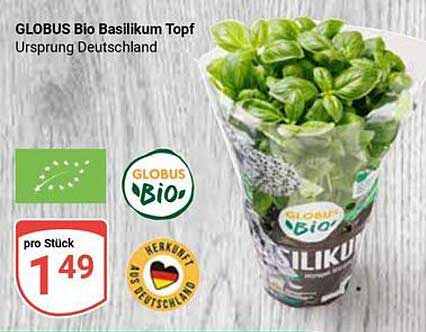 GLOBUS Bio Basilikum Topf