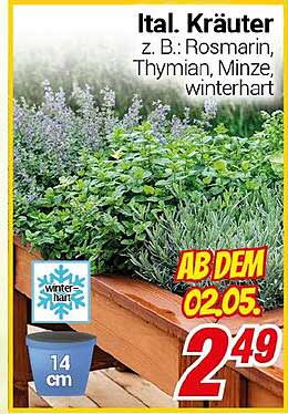 Ital. Kräuter z. B.: Rosmarin, Thymian, Minze, winterhart