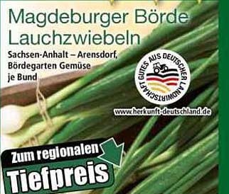 Magdeburger Börde Lauchzwiebeln je Bund