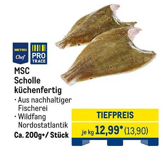 MSC Scholle küchenfertig