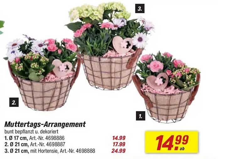 Muttertags-Arrangement bunt bepflanzt und dekoriert