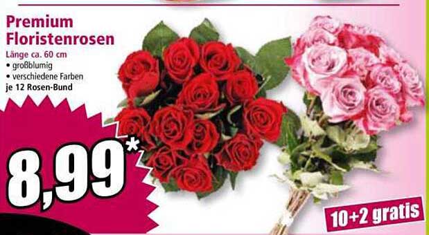 Premium Floristenrosen – 12 Rosens-Bund (10+2 gratis)