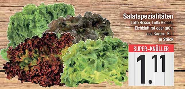 Salatspezialitäten: Lollo Rosso, Lollo Bionda und Eichblatt rot oder grün, je Stück