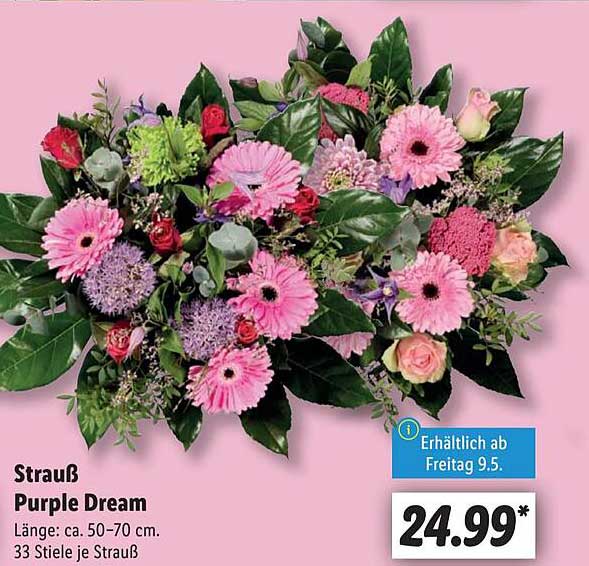 Strauß Purple Dream