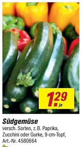 Südgemüse - Verschiedene Sorten wie Paprika, Zucchini oder Gurke im 9-cm-Topf