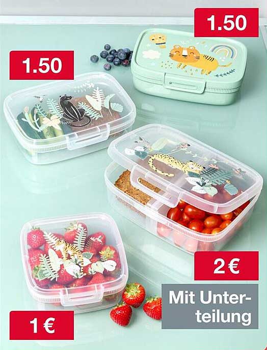 Bento-Boxen mit süßen Motiven und praktischen Unterteilungen