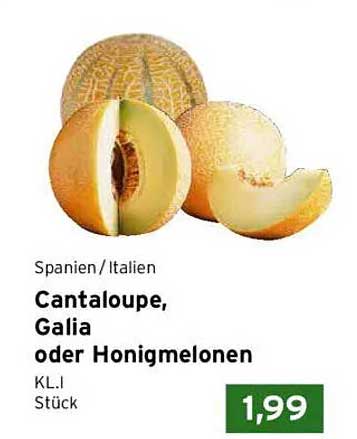 Cantaloupe, Galia oder Honigmelonen - Stück für nur 1,99