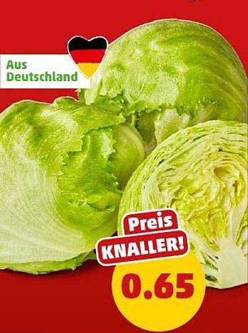 Frischer Eisbergsalat aus Deutschland für nur 0,65 €!