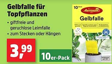 Gelbfall für Topfpflanzen – 10er-Pack