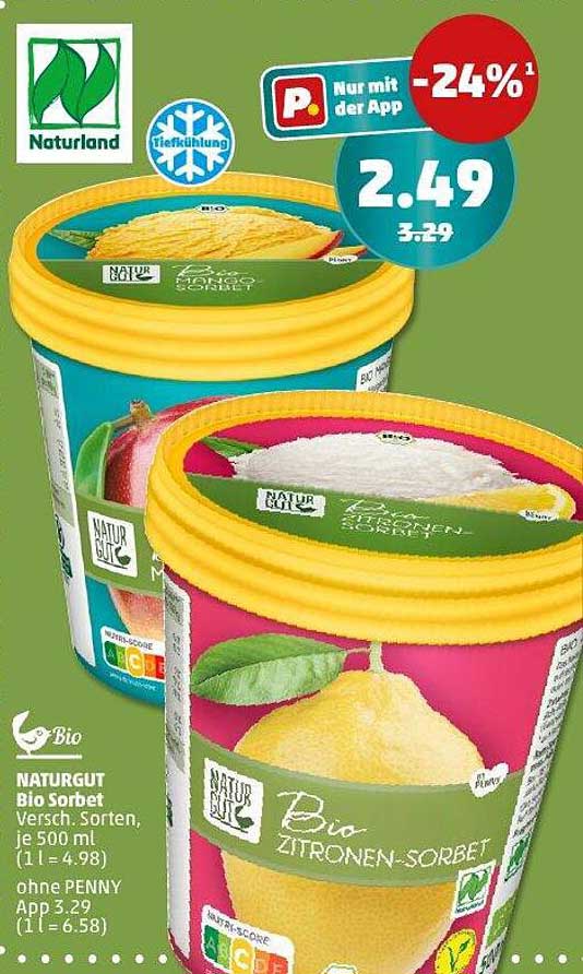 NATURGUT Bio Sorbet - Zitronen- und Mango-Sorbet, je 500 ml