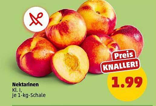Nektarinen Kl. I, je 1-kg-Schale