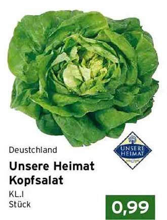 Unsere Heimat Kopfsalat Stück