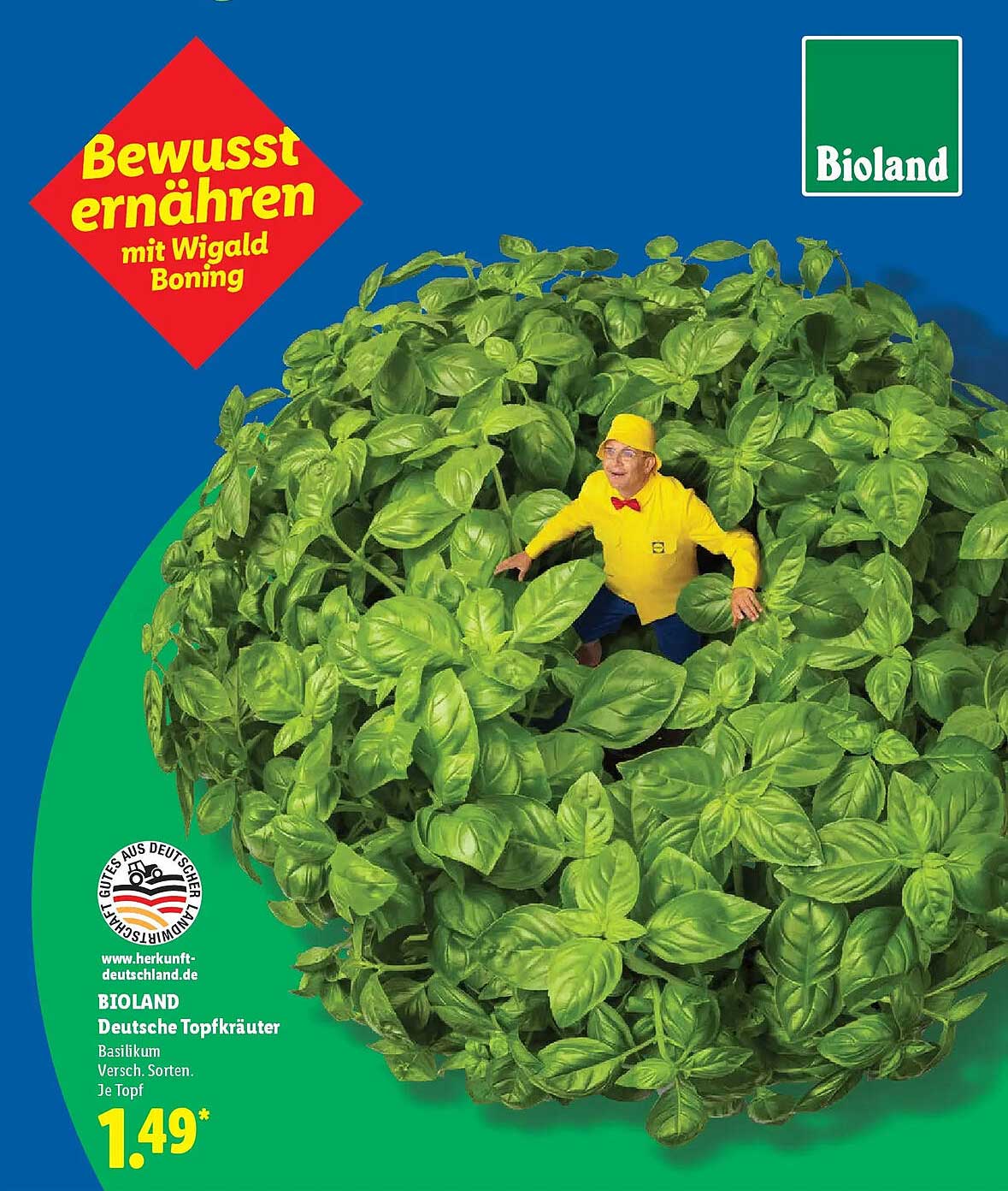 BIOLAND Deutsche Topfkräuter Basilikum Versch. Sorten. Je Topf