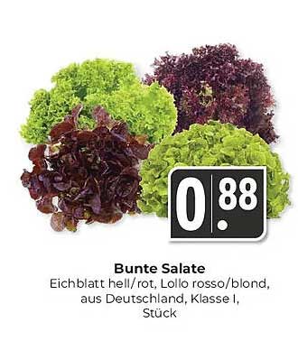 Bunte Salate