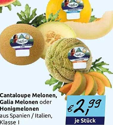 Cantaloupe Melonen, Galia Melonen oder Honigmelonen aus Spanien / Italien, Klasse I