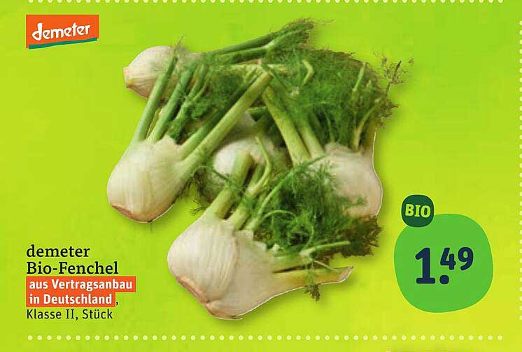 demeter Bio-Fenchel aus Vertragsanbau in Deutschland, Klasse II, Stück