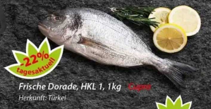 Frische Dorade, HKL 1, 1kg