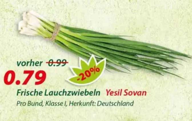 Frische Lauchzwiebeln Yeşil Soğan