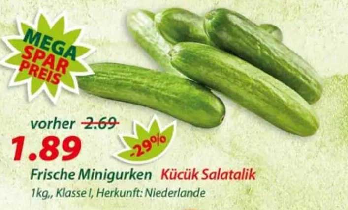 Frische Minigurken Küçük Salatalık