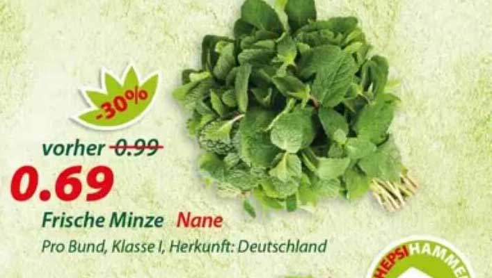 Frische Minze