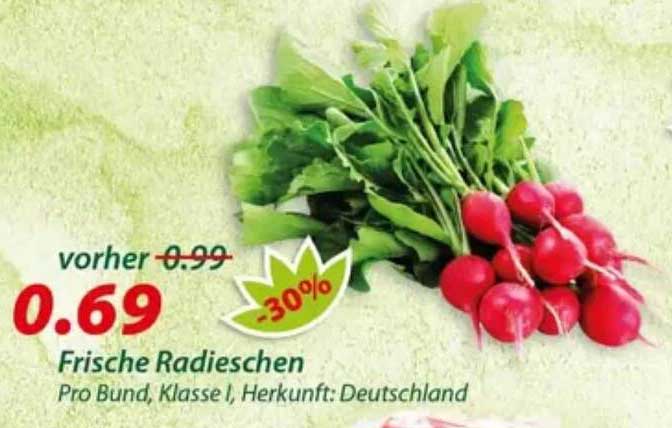 Frische Radieschen