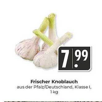 Frischer Knoblauch