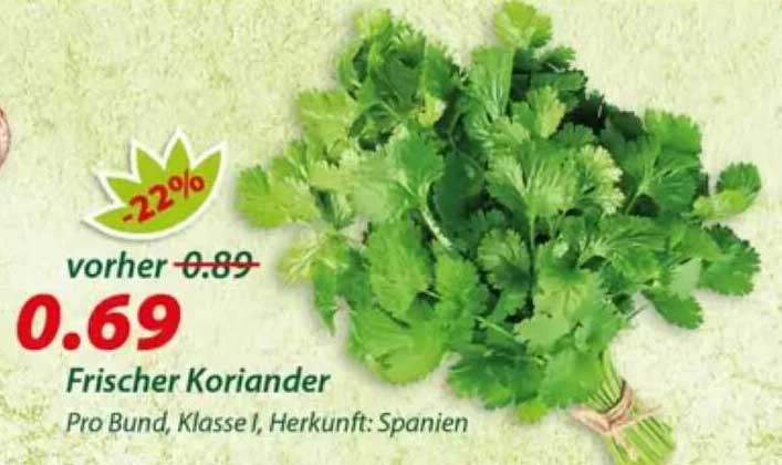 Frischer Koriander
