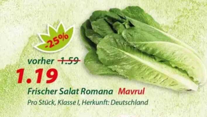 Frischer Salat Romana Mavru