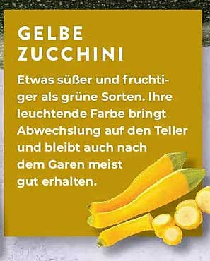 GELBE ZUCCHINI
