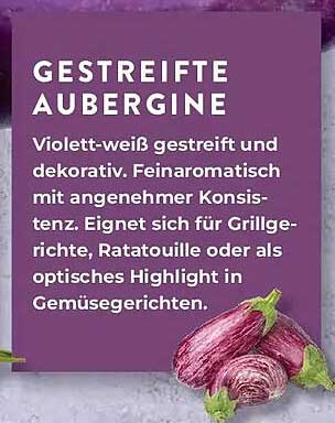 GESTREIFTE AUBERGINE