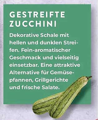 GESTREIFTE ZUCCHINI