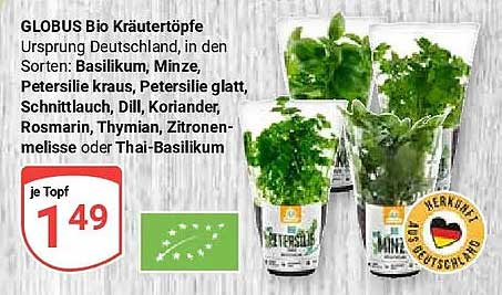 GLOBUS Bio Kräutertöpfe