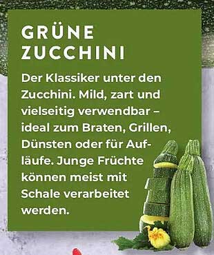 GRÜNE ZUCCHINI
