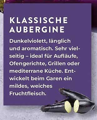 KLASSISCHE AUBERGINE