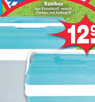 Kühlbox aus Kunststoff, versch. Farben, mit Haltegriff