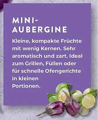 MINI-AUBERGINE