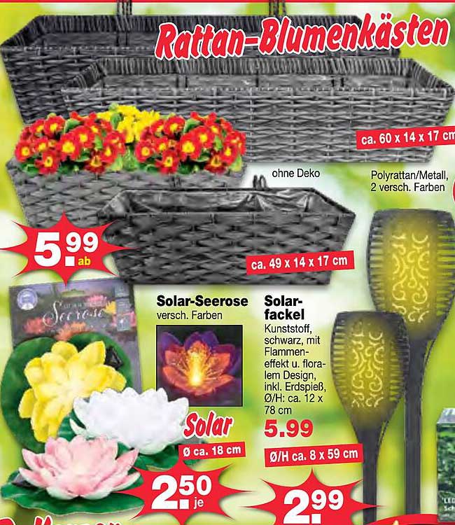 Rattan-Blumenkasten