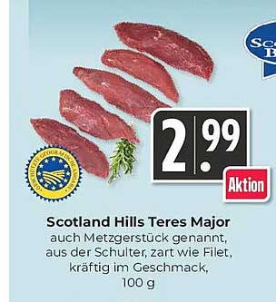 Scotland Hills Teres Major