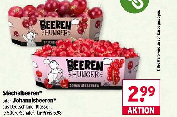 Stachelbeeren* oder Johannisbeeren*