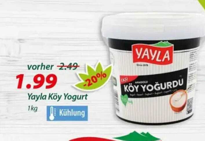 Yayla Koy Yogurt