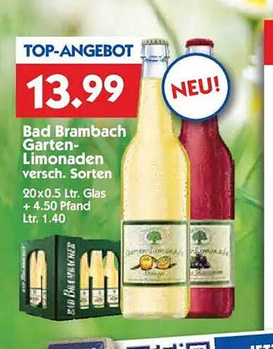 Bad Brambach Garten-Limonaden 20x0,5 Ltr. - versch. Sorten