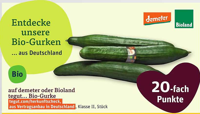 Bio-Gurke aus Deutschland - Demeter und Bioland zertifiziert