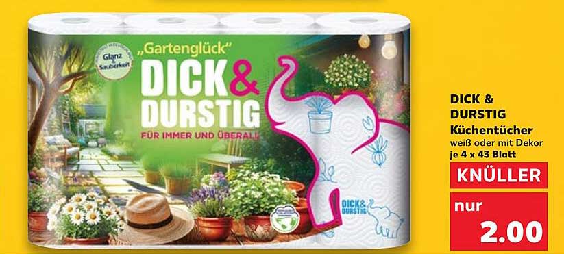 DICK & DURSTIG Küchentücher - nur 2,00 €